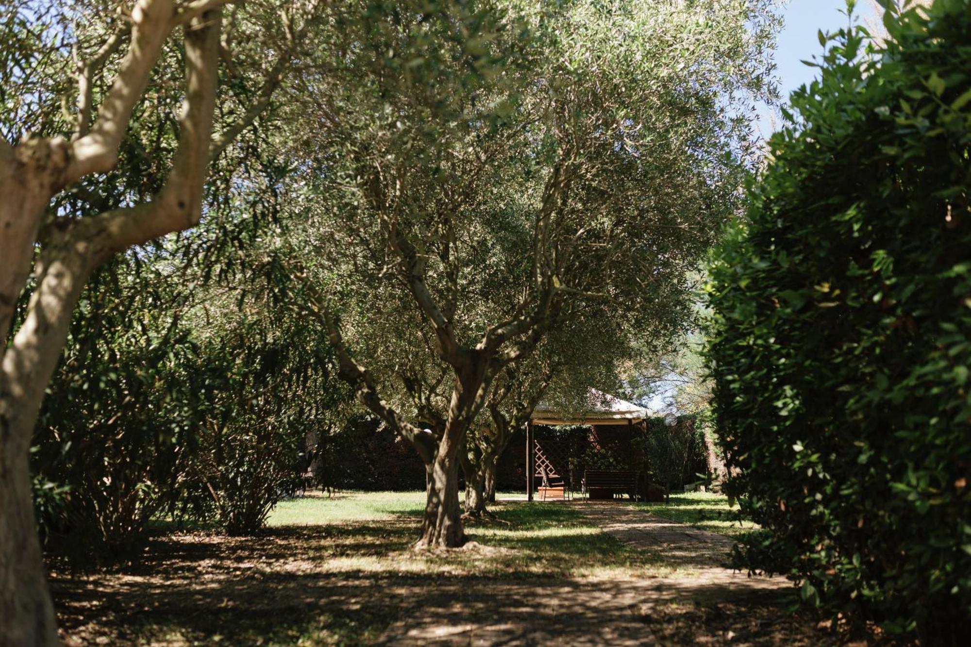 Villa Chiara Porto Recanati Eksteriør bilde